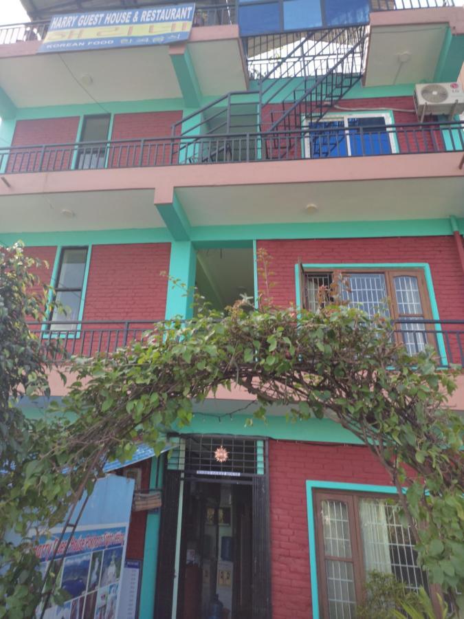 Harry Guest House & Restaurant بوكْرا المظهر الخارجي الصورة